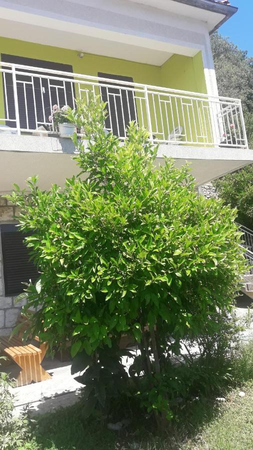 Apartment Dragone Ulcinj Exterior foto