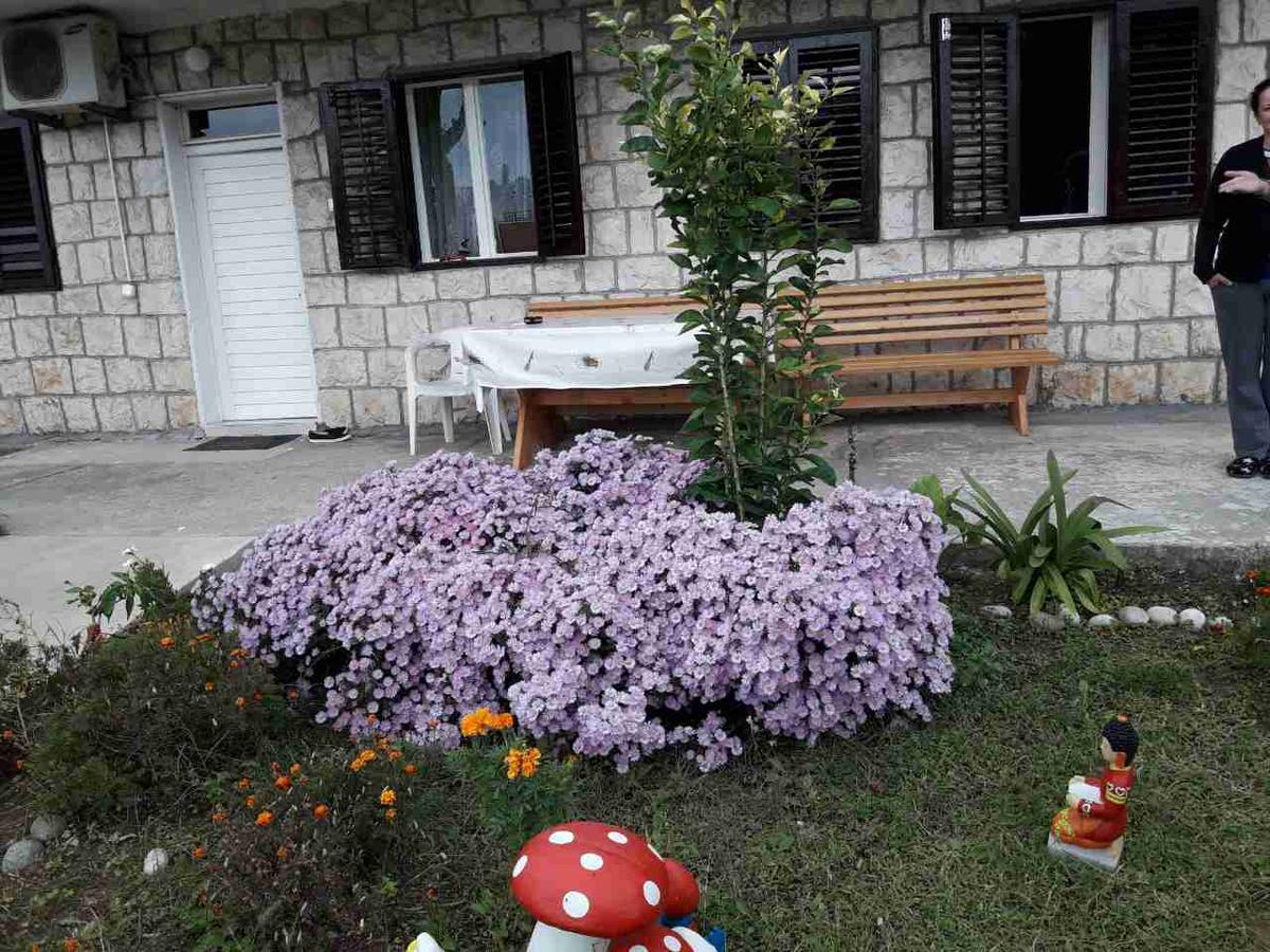 Apartment Dragone Ulcinj Exterior foto